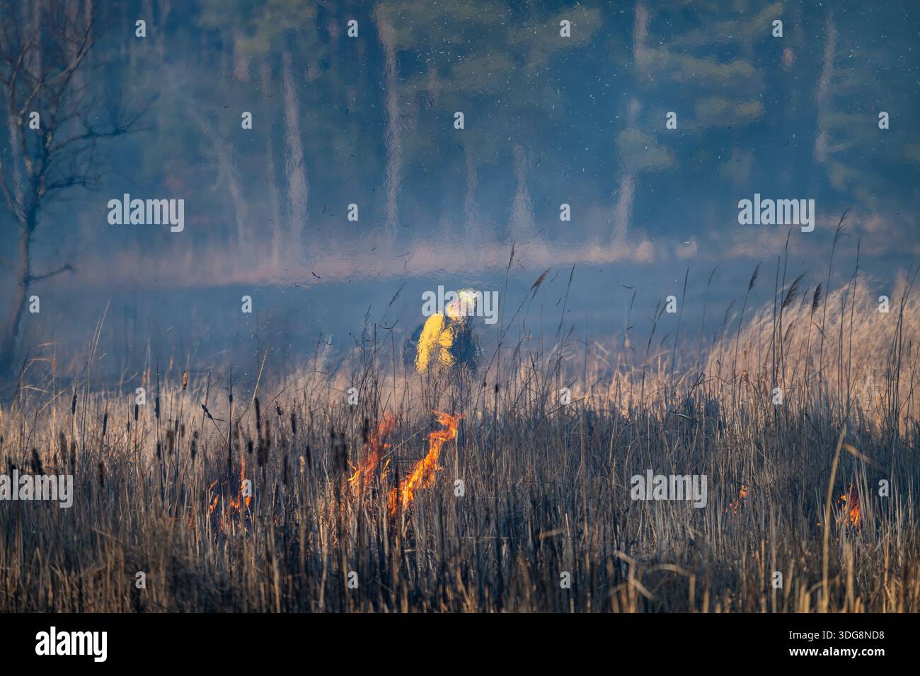 Gestione controllata degli incendi e del territorio Foto Stock