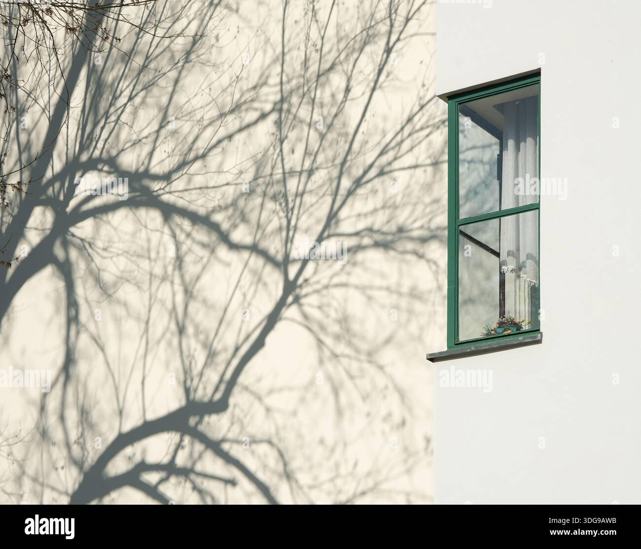 Friedrich-Ebert-Siedlung Berlin, residenza modernista con balconi in vetro, Afrikanisches Viertel, Wedding, Berlino, Germania Foto Stock