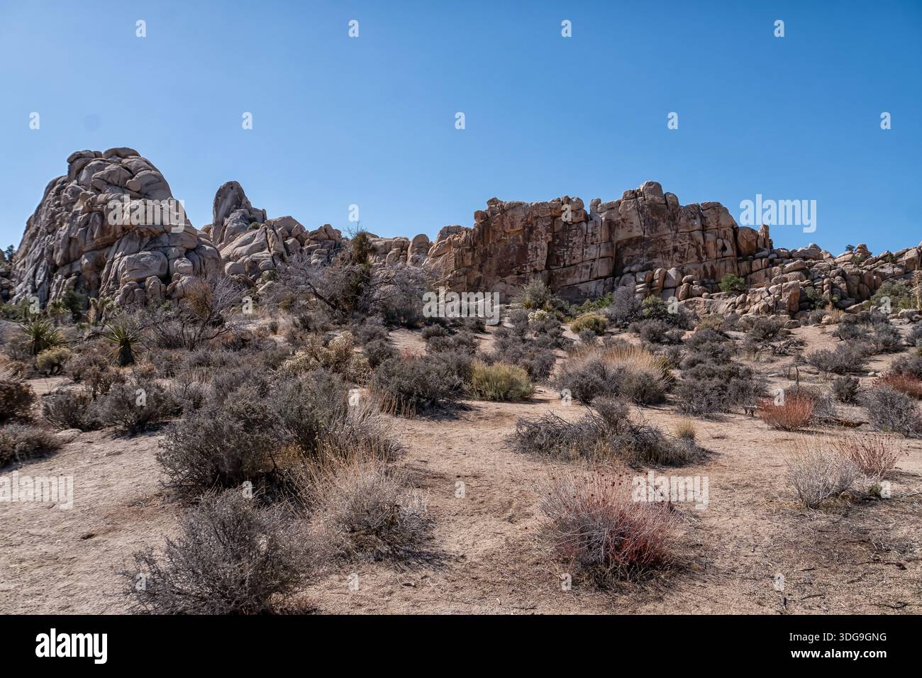 Un paesaggio roccioso nel deserto con un cielo blu limpido. Il cielo è il colore dominante dell'immagine e le rocce sono sparse per tutta la scena Foto Stock