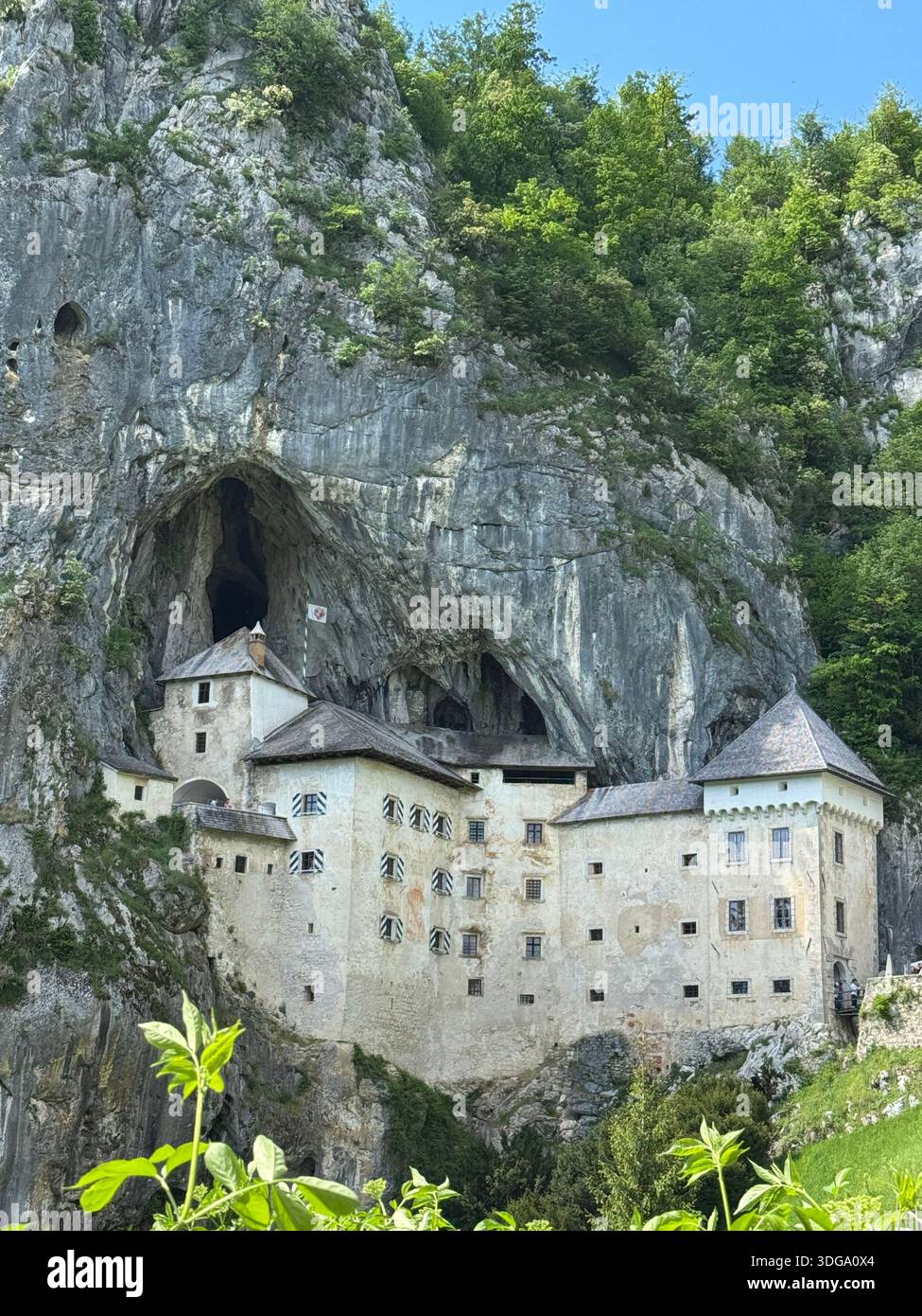La fortezza sulla scogliera di Predjama sorge da una grotta calcarea, circondata da foreste e bagnata dalla luce del sole. - Immagine stock catturata con smartphone