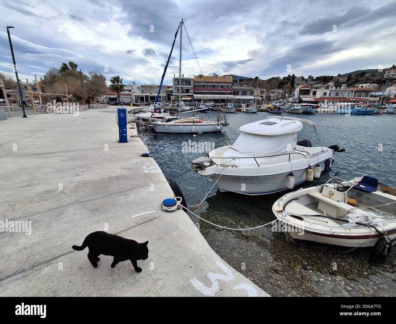 Gatto nero che cammina lungo un porto con barche da pesca in Grecia Foto Stock