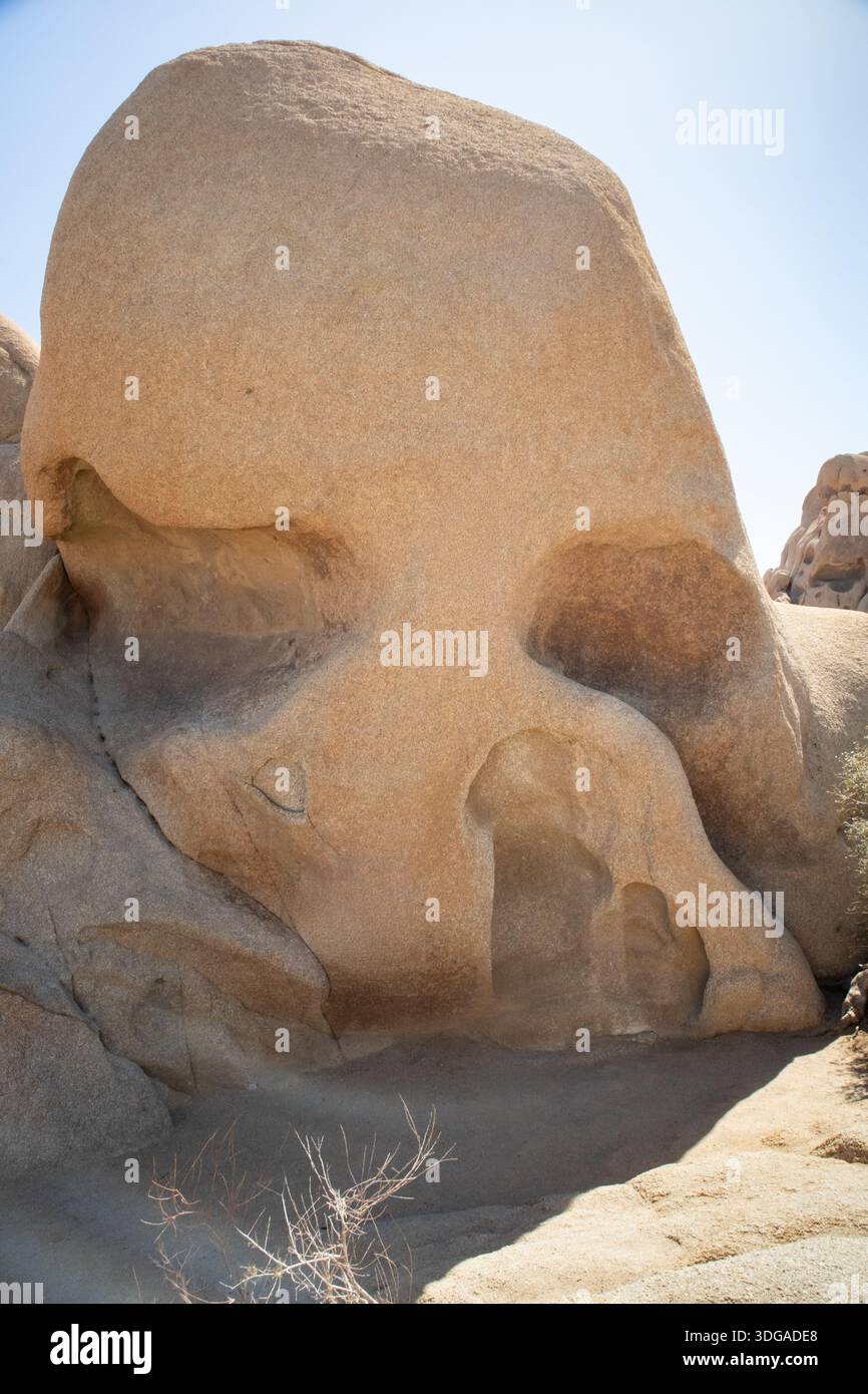 Formazione rocciosa a forma di cranio scolpita dall'erosione alla luce del sole del deserto Foto Stock