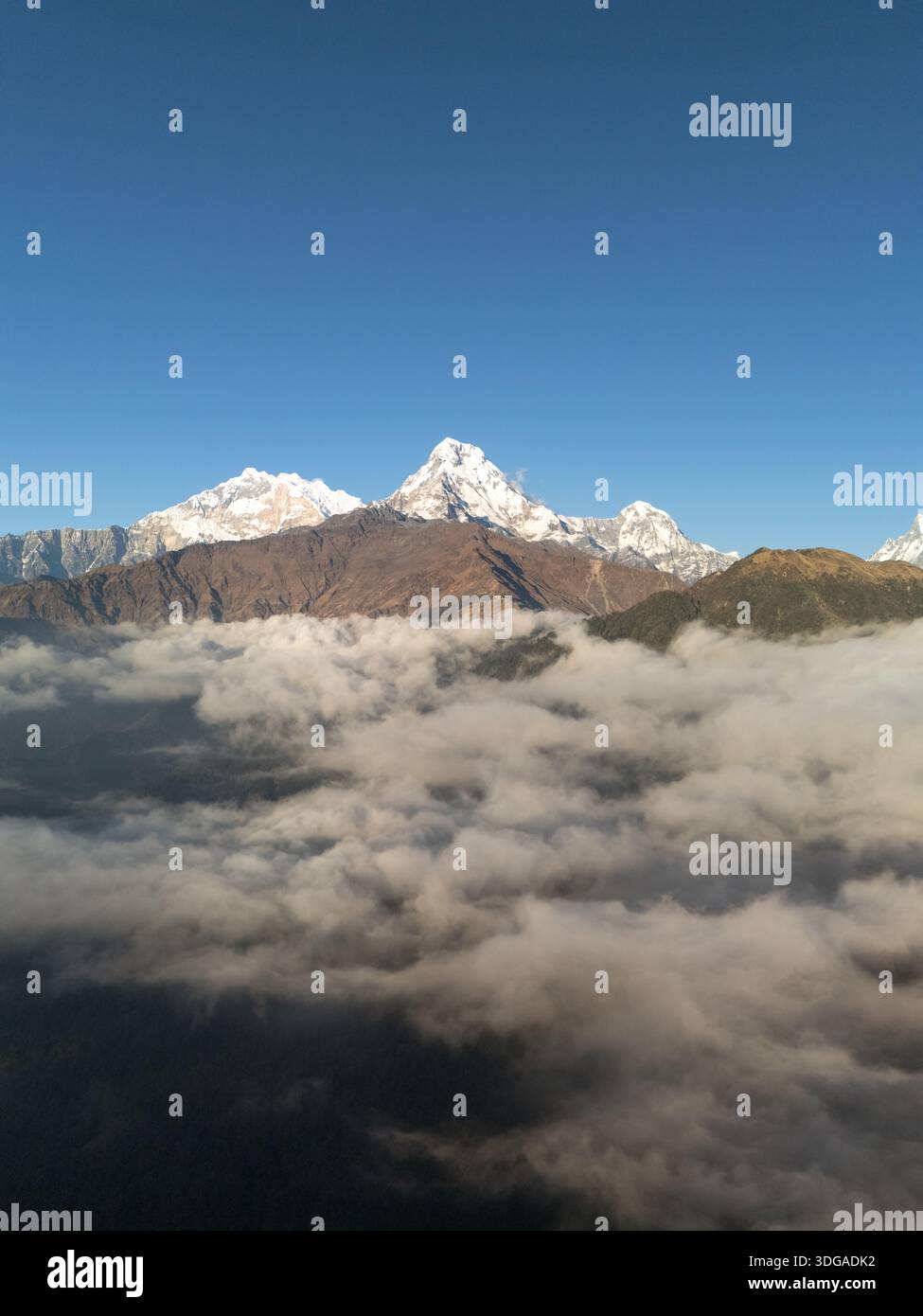 Vista aerea delle cime innevate attraversano un mare di nuvole, contrastando il bianco assoluto con il cielo blu profondo, Himalaya, Annapurna, Nepal Foto Stock