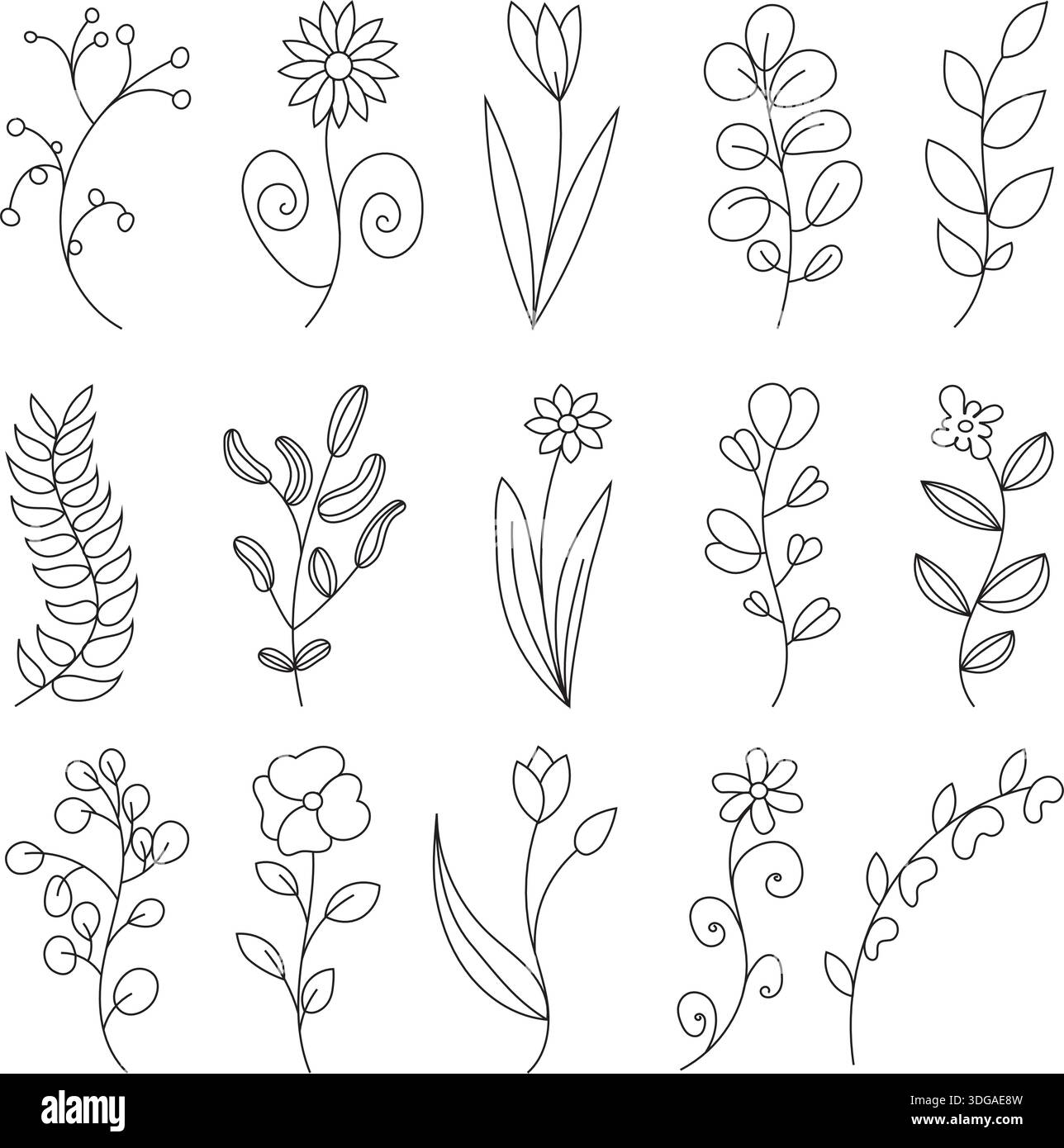 Un'enorme collezione di illustrazioni botaniche vettoriali. 15 elementi unici, tra cui vari fiori, rami e foglie in uno stile minimalista. Illustrazione Vettoriale
