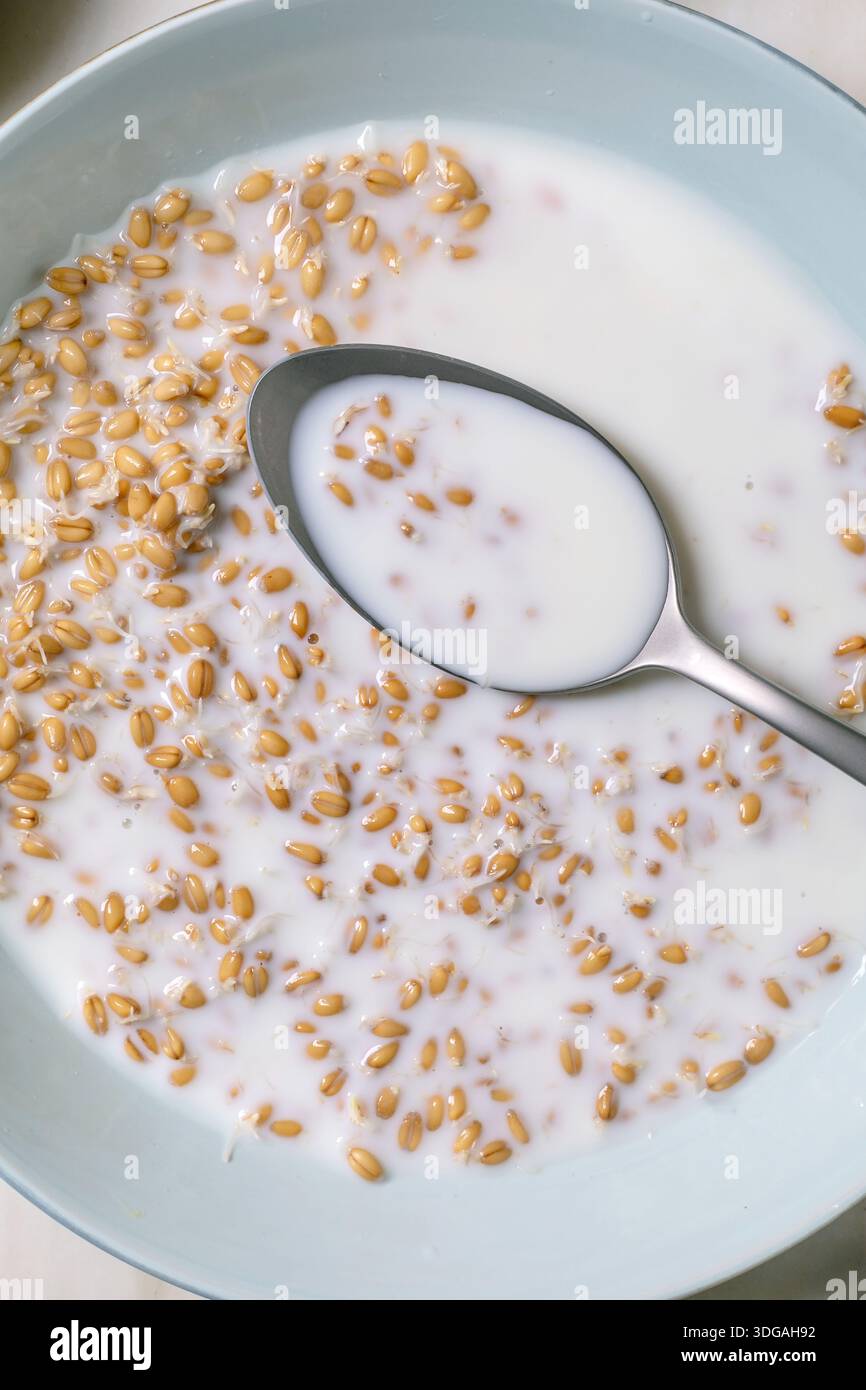 Porridge di grano sano per colazione con latte in ciotola blu. Cucchiaio in metallo con composto cremoso. Vista ravvicinata del nutriente pasto mattutino con chicchi interi. Foto Stock