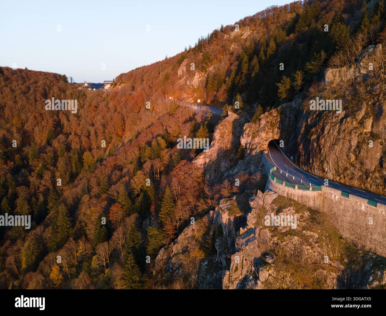 Famosa strada di montagna col de la Schlucht bagnata dalla luce dorata del mattino, circondata da fogliame autunnale, che si snoda attraverso i monti Vosgi in Francia. Foto Stock