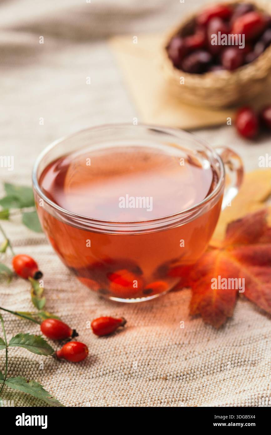 Tazza di tè alle erbe rosehip sulle foglie autunnali con frutti di bosco, natura morta di stagione accogliente, luce naturale calda. Foto Stock