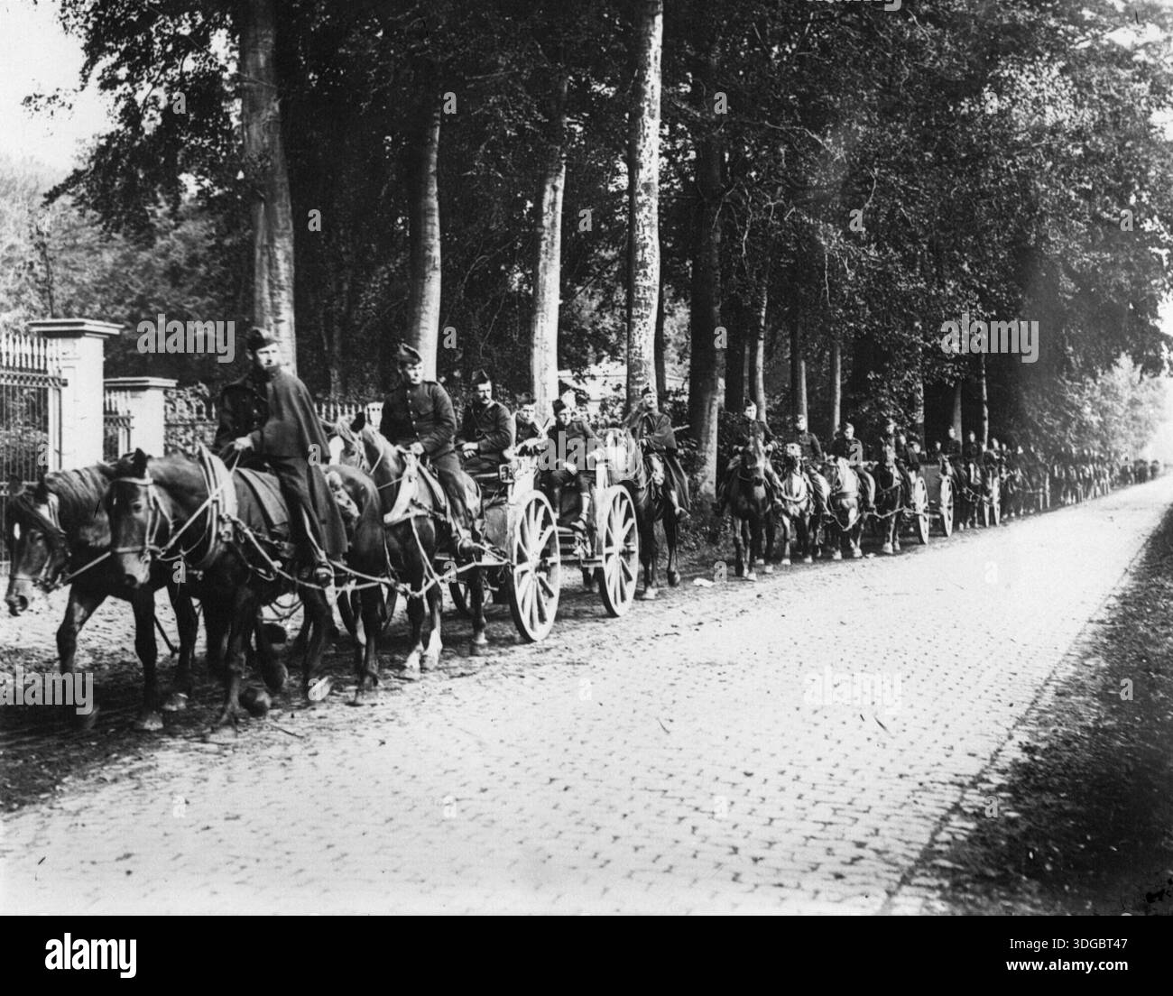 Unità di artiglieria belga nascosta sotto la copertura dell'albero per evitare l'osservazione da parte degli aerei nemici, ottobre 1914. Foto Stock