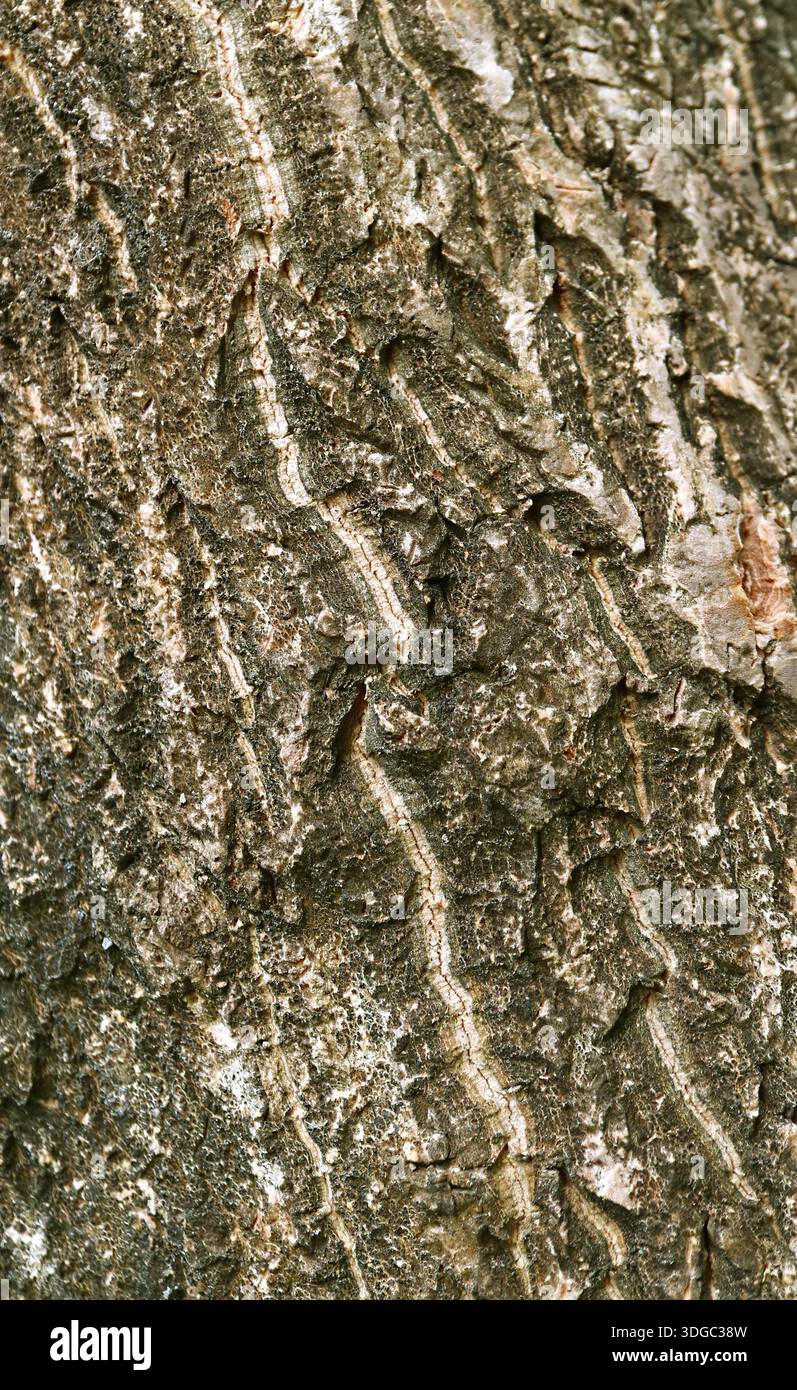 Texture artistica per sfondo astratto Foto Stock