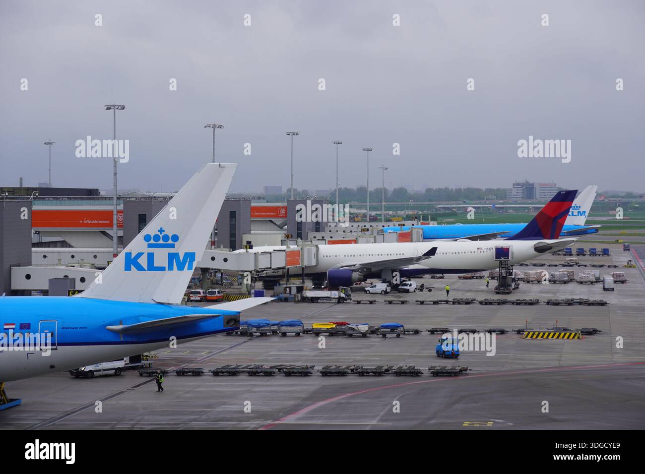 Aerei con Tails all'aeroporto Schiphol di Amsterdam, Paesi Bassi Foto Stock