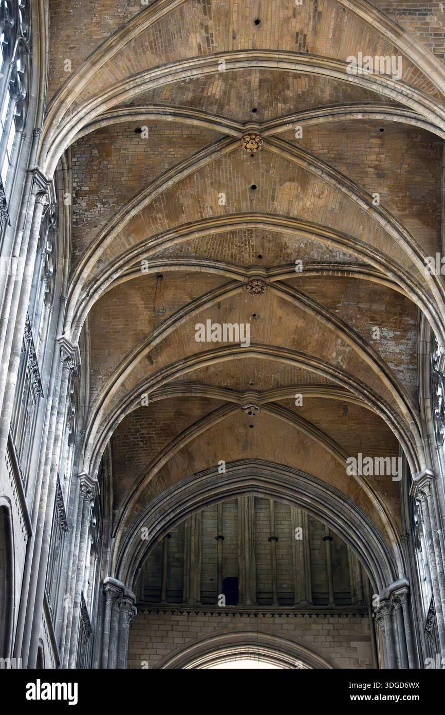 Soffitto a volta nella Cattedrale di Notre-Dame, Rouen, Normandia, Francia Foto Stock