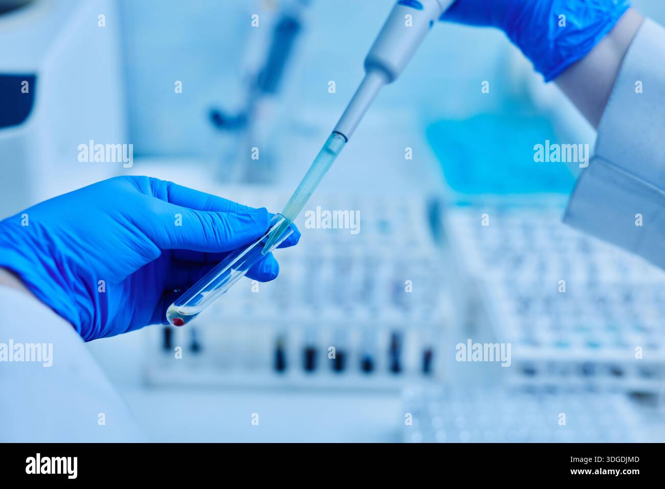 Medico donna che fa un test tenendo una provetta con analisi paziente nelle sue mani, esame medico, messa a fuoco selettiva. Foto Stock