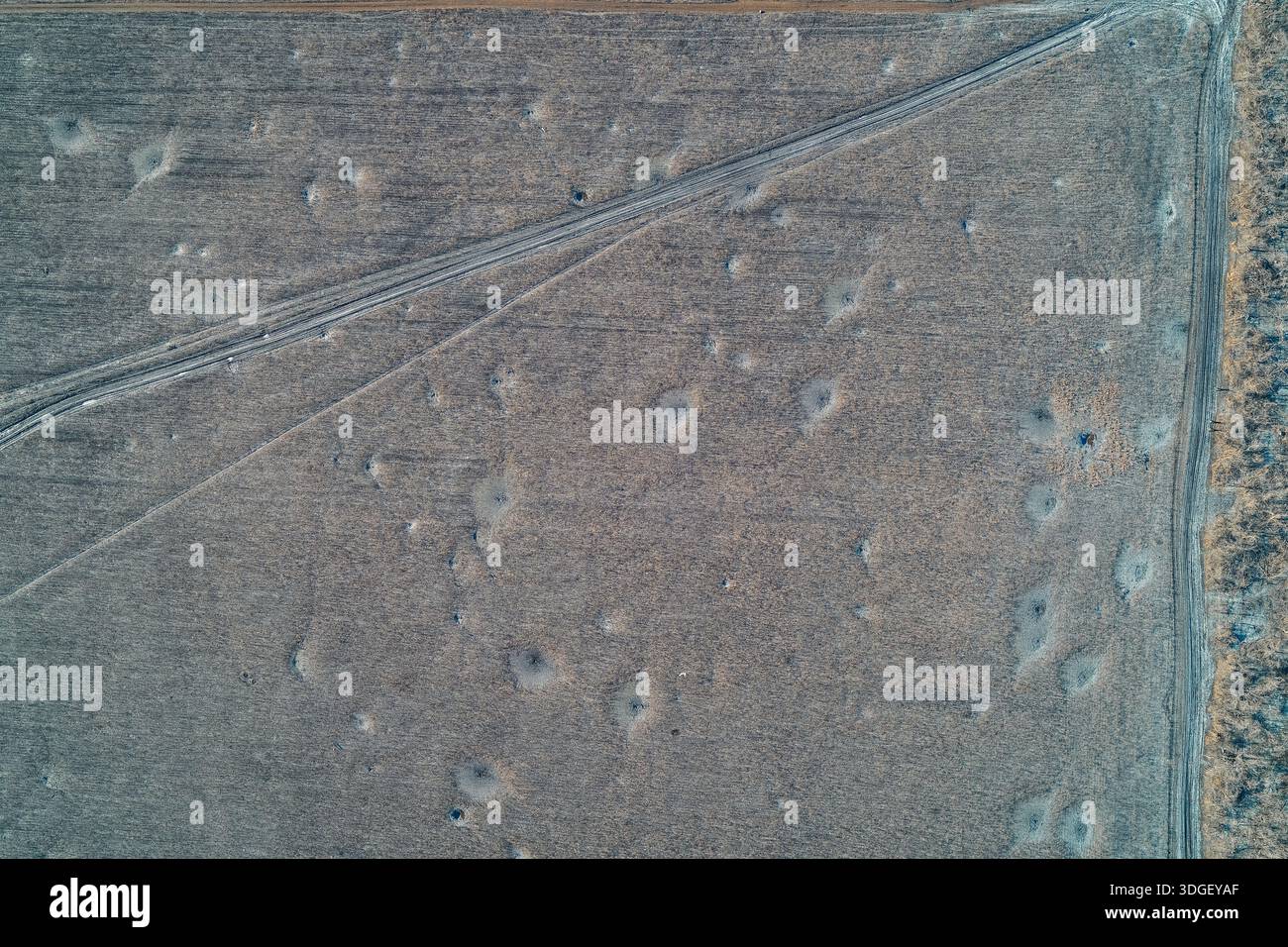 Un vasto campo è pesantemente punteggiato da numerosi crateri di artiglieria vicino a una strada di campagna. La superficie grigia evidenzia l'intensità dei bombardamenti e la desolazione di un campo di battaglia in una zona di guerra Foto Stock