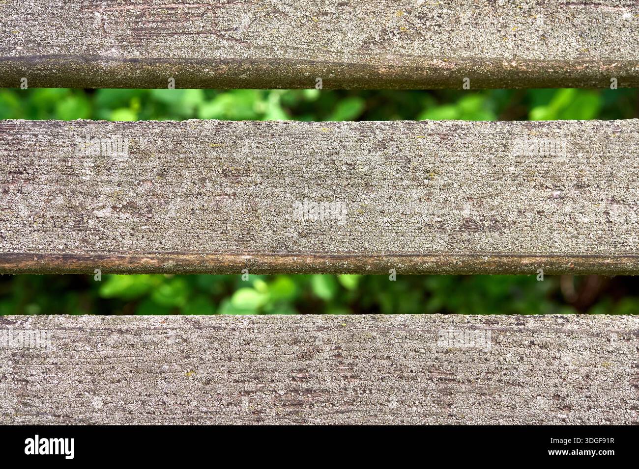 Primo piano di spranghe orizzontali in legno con texture resistente agli agenti atmosferici, che rivelano fogliame verde sfocato attraverso gli spazi vuoti. Foto Stock
