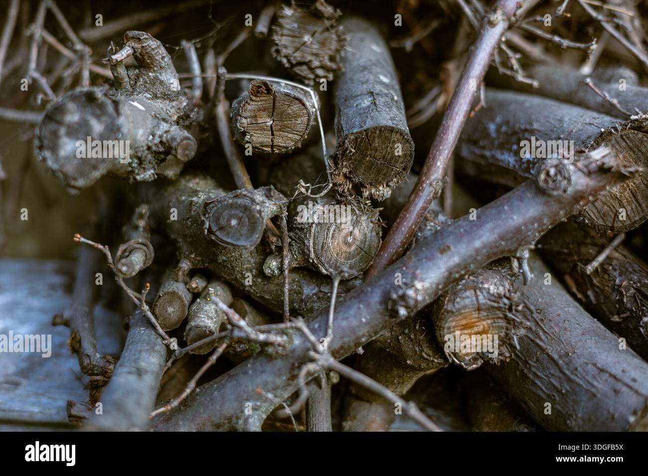 Vista ravvicinata ad angolo alto di una pila rustica di legna da ardere tritata. Tronchi asciutti, bastoncini e rami sono impilati, mostrando la consistenza ruvida della corteccia e. Foto Stock