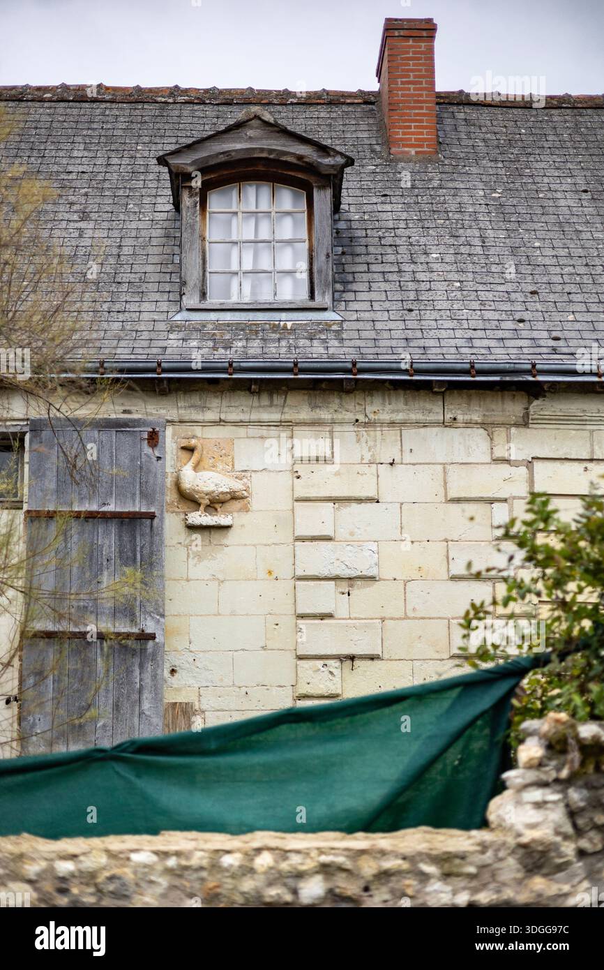 La storica casa di pietra bianca con un tetto in ardesia e un'oca di pietra intagliata sulle pareti si erge nel quartiere Paul Bert di Tours Francia creando un tradizionale Foto Stock