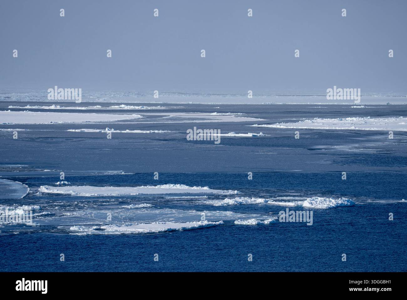 Ghiaccio marino, mare di Baffin, Groenlandia. Foto Stock