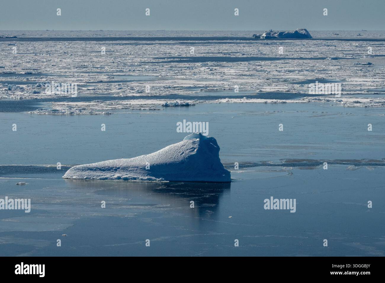 Iceberg e ghiaccio marino, mare di Baffin, Groenlandia. Foto Stock