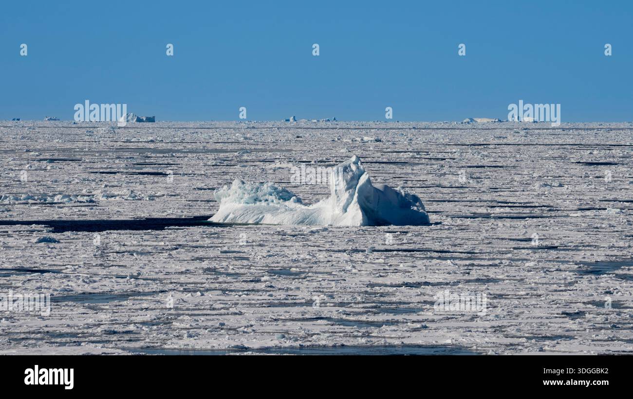 Iceberg e ghiaccio marino, mare di Baffin, Groenlandia. Foto Stock