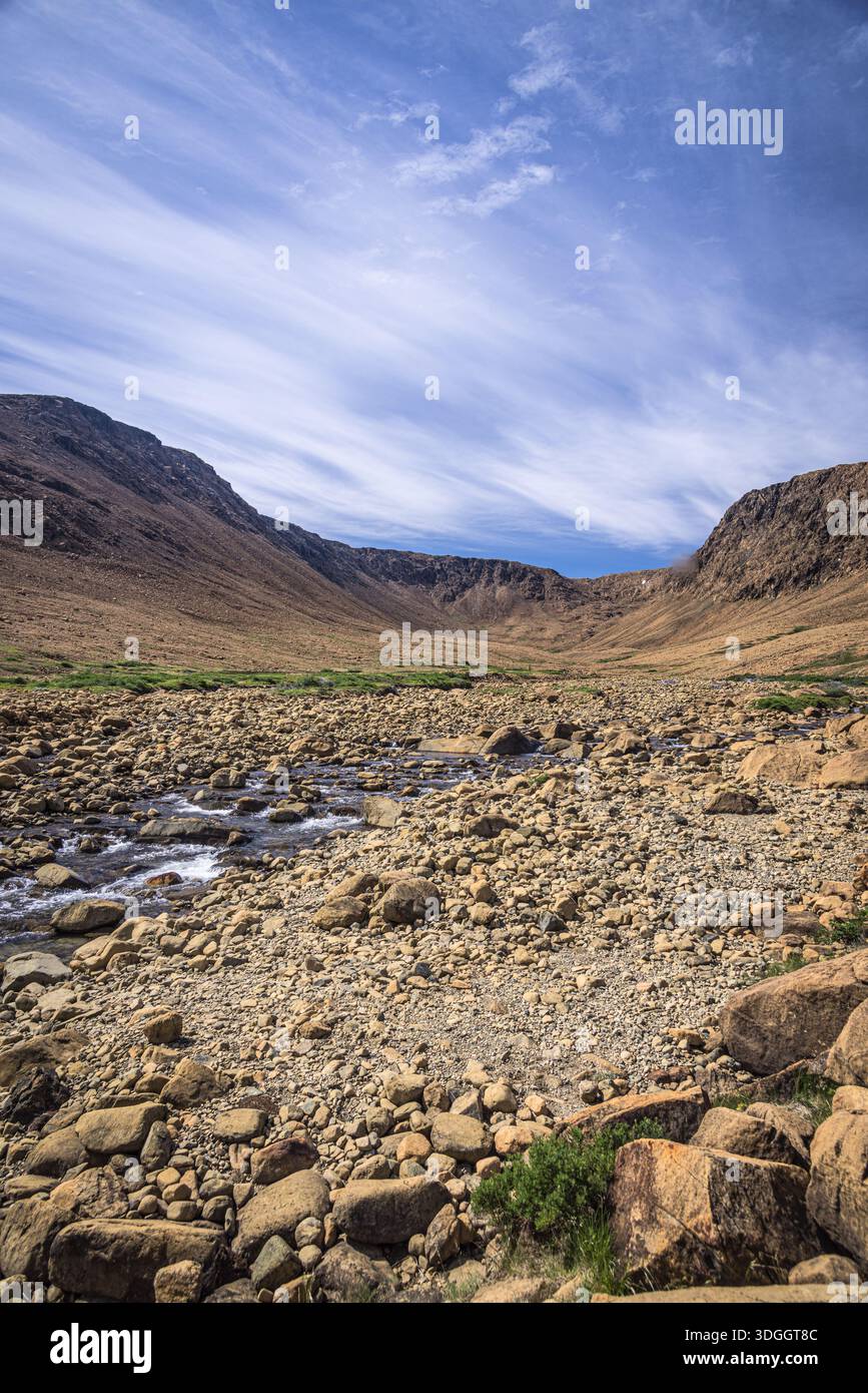 Gli alpeggi, Parco Nazionale Gros Morne, Terranova e Labrador, Canada Foto Stock