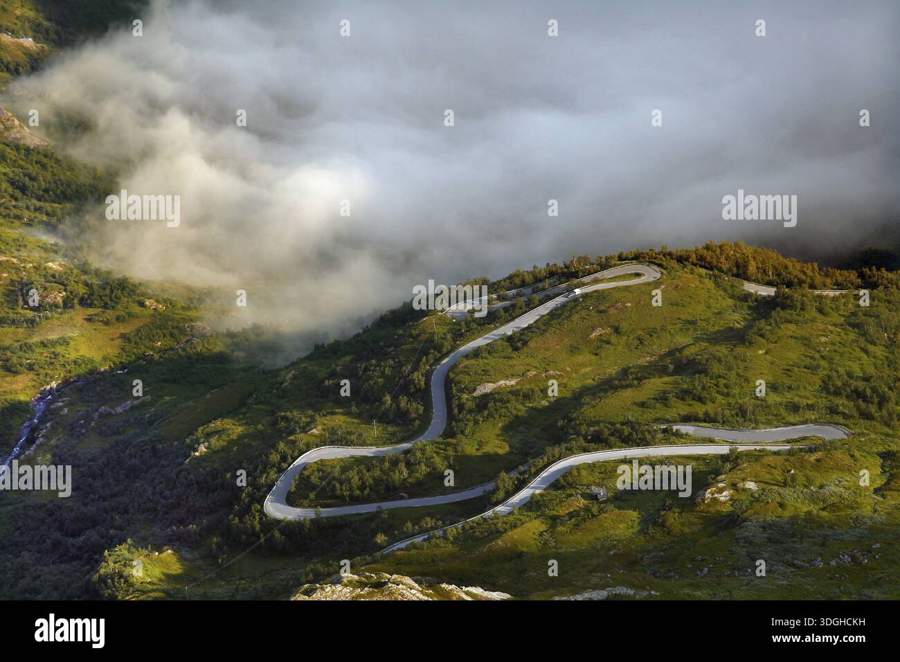 La strada a serpentina si snoda tra verdi colline ricoperte di nebbia, Geirangerfjord, Dalsnibba, Norvegia Foto Stock