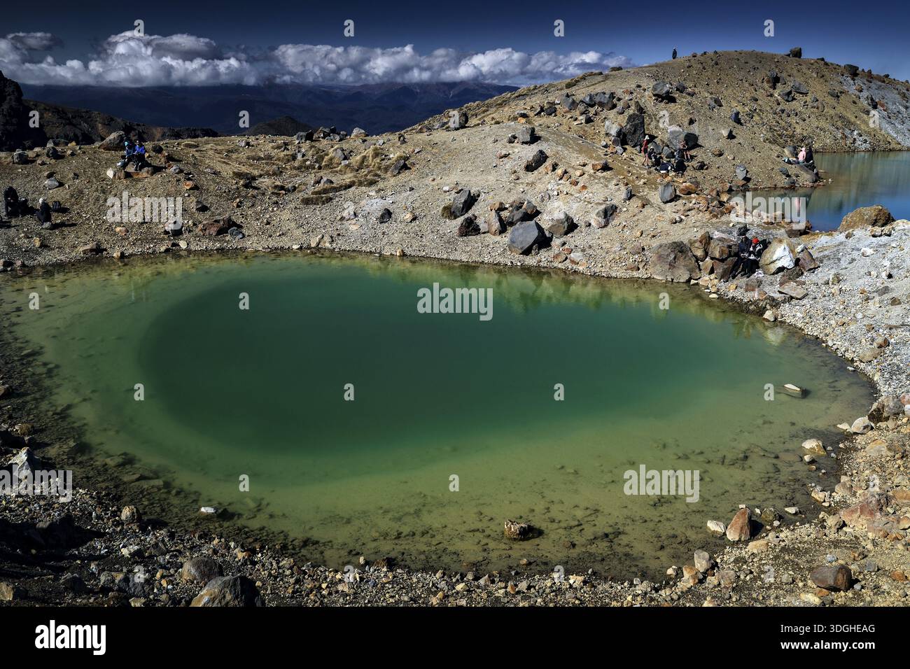 Gli Emerald Lakes risplendono di verde turchese in un ambiente roccioso aspro, il Tongariro National Park, nuova Zelanda Foto Stock
