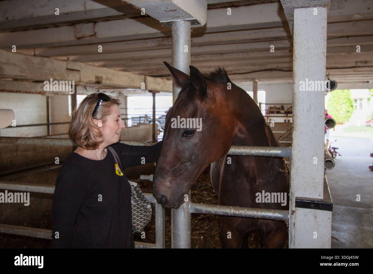 Una donna sorride mentre si trova accanto a un cavallo bruno in una stalla, mostrando uno stretto legame tra uomo e animale. Ottimo per lo stile di vita equestre Foto Stock