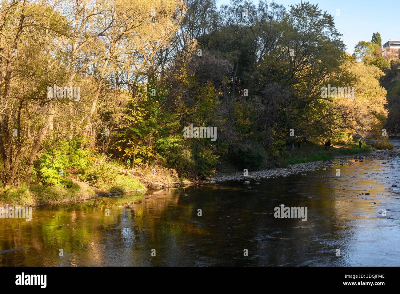 Il fiume di credito scorre lungo le rigogliose rive del fiume con alberi che mostrano fogliame dorato e verde in autunno, riflettendo sull'acqua calma sotto il sole luminoso Foto Stock