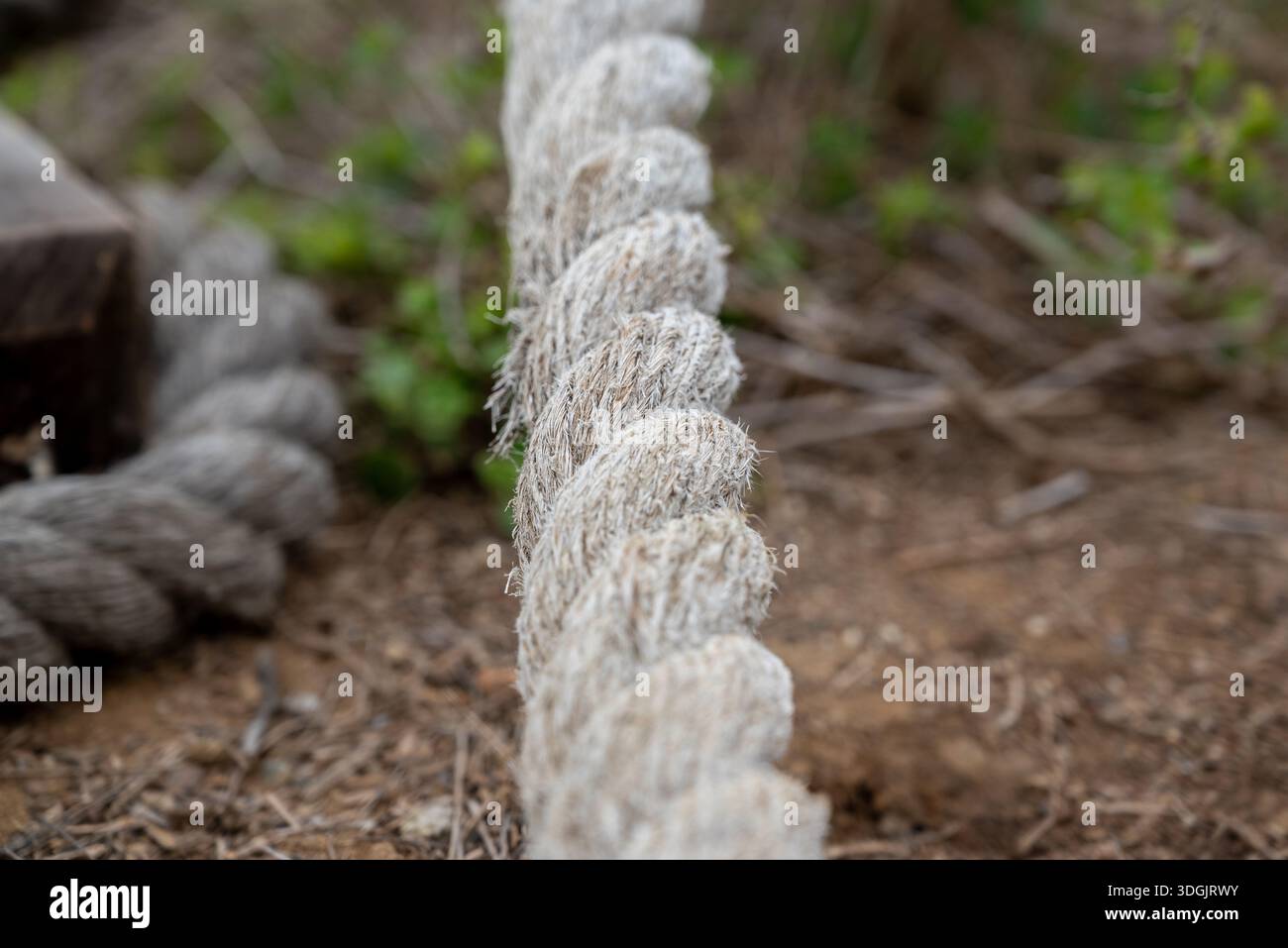 Primo piano di una corda spessa, evidenziando la consistenza e i dettagli delle fibre. Lo sfondo e' sfocato, caratterizzato da vegetazione e sporcizia. Foto Stock