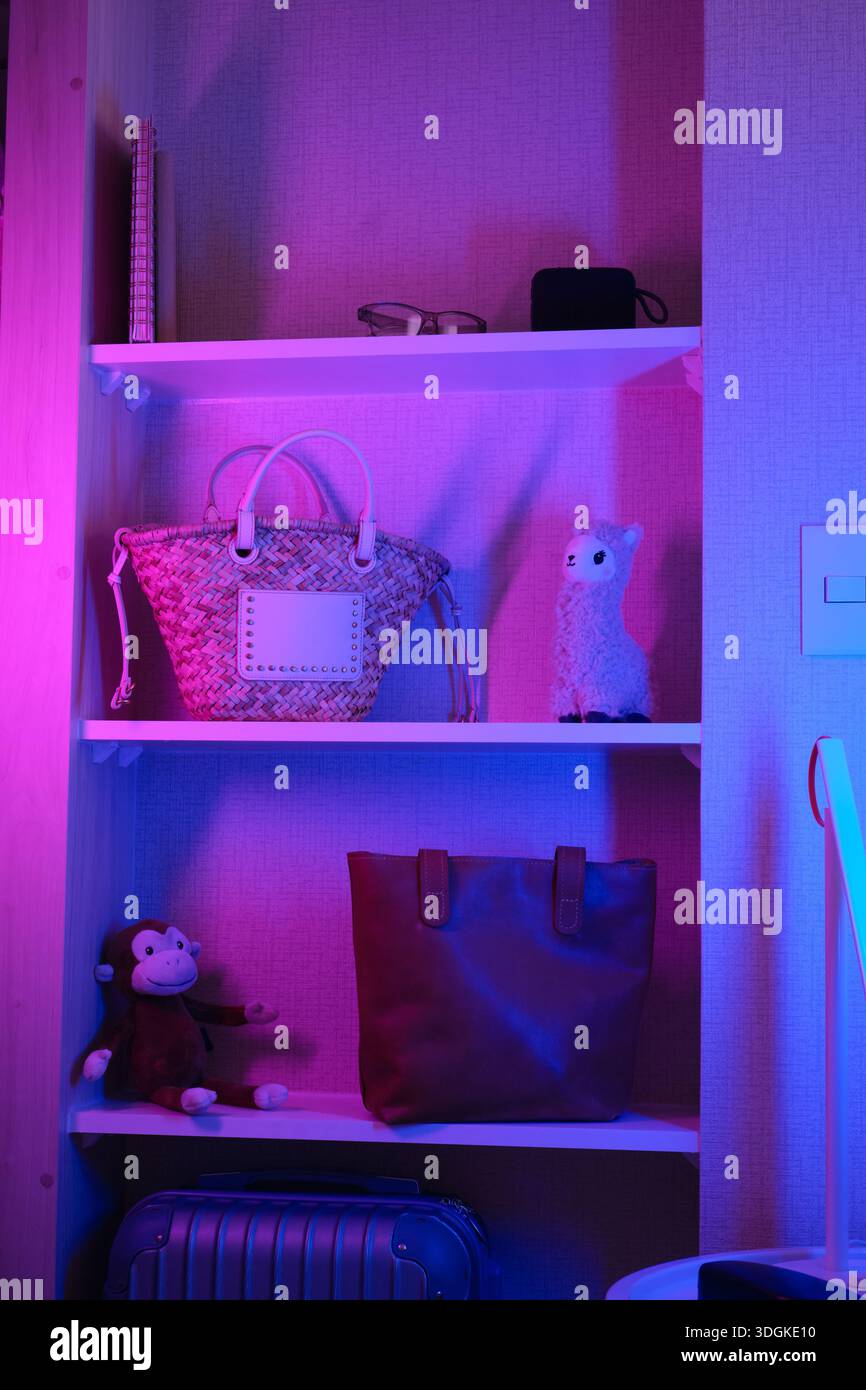 Scaffale con una borsa intrecciata, un alpaca giocattolo, una borsa tote in pelle e un peluche di scimmia in viola e blu Foto Stock