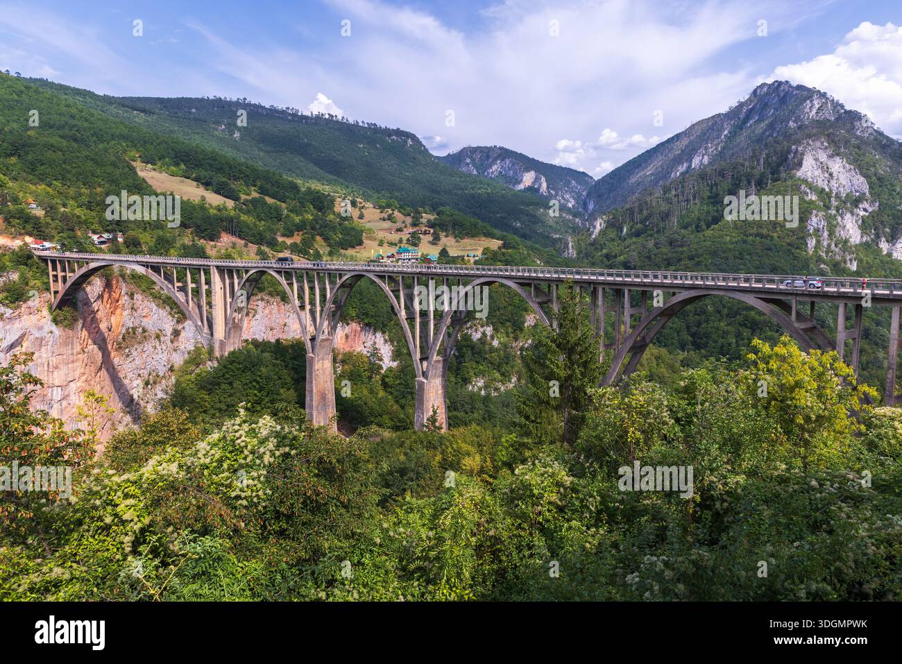 Paesaggio montano del Montenegro in una giornata estiva con il Ponte Durdevica Tara sul fiume Tara Foto Stock