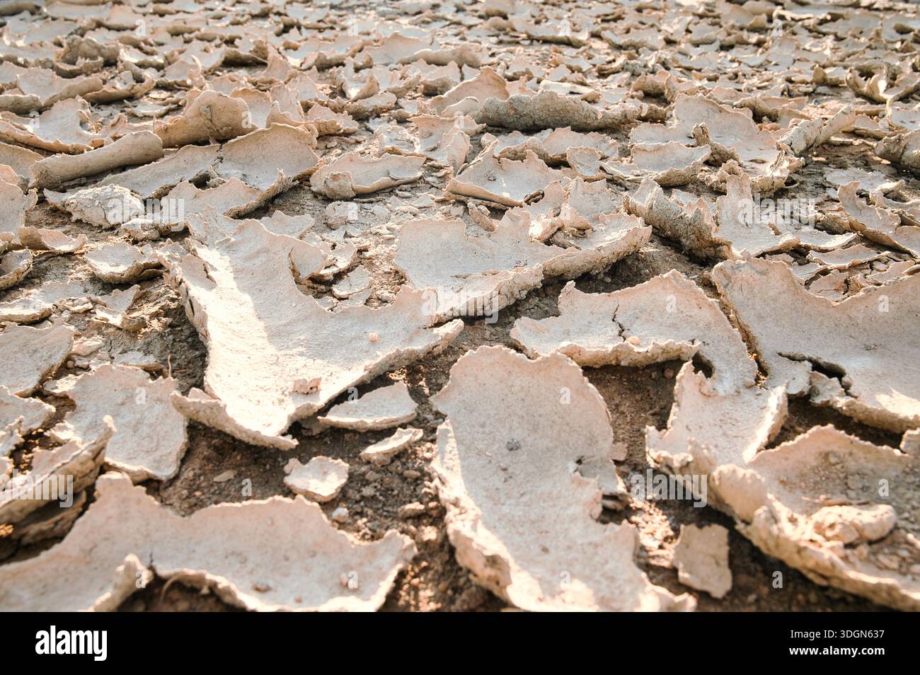 Foto ravvicinata di un terreno incrinato e arroccato che forma schemi astratti naturali causati da siccità prolungata e calore estremo. La superficie terrestre asciutta Foto Stock