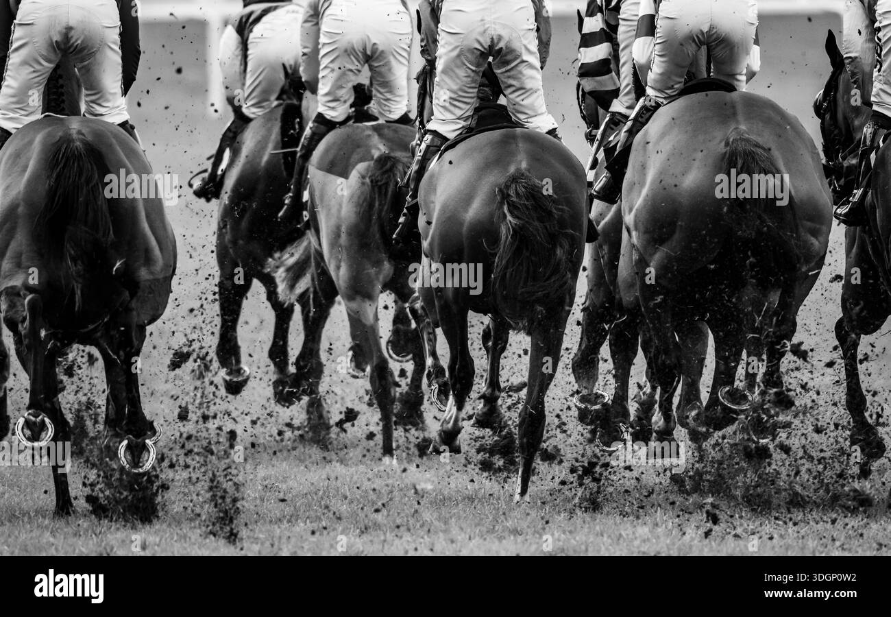 Ascot, Regno Unito, sabato 17 gennaio 2026; i corridori si dirigono oltre le tribune nell'ostacolo handicap di BetMGM Holloway. Crediti JTW equine Images / Alamy Live News. Foto Stock