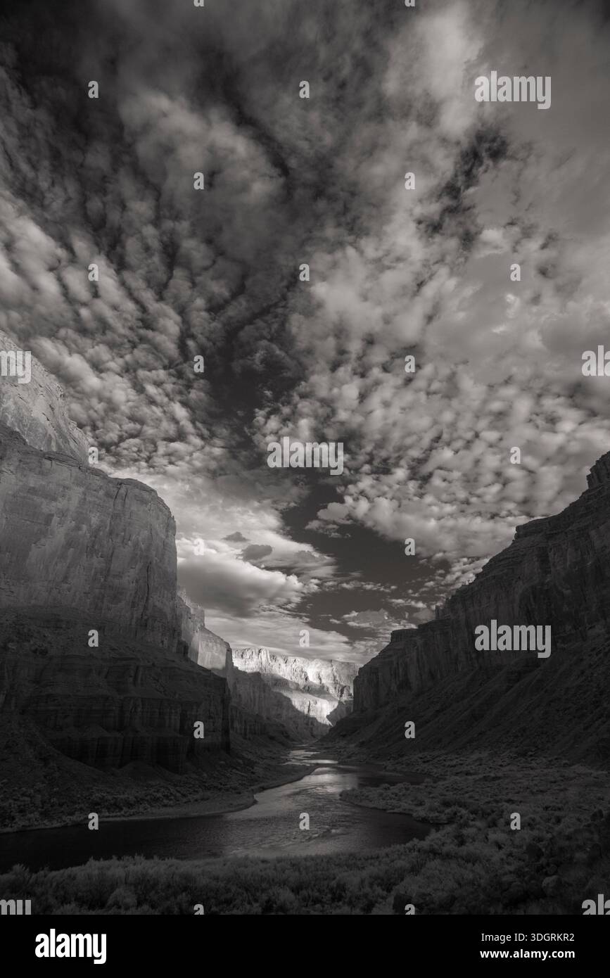 Fiume Colorado ad agosto, Marble Canyon, Grand Canyon National Park, Arizona Foto Stock