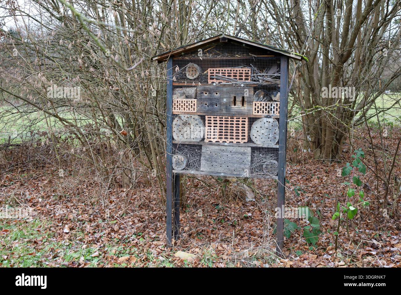 Un hotel di insetti splendidamente realizzato sorge in una tranquilla radura della foresta, circondato da alberi e foglie cadute. Foto Stock