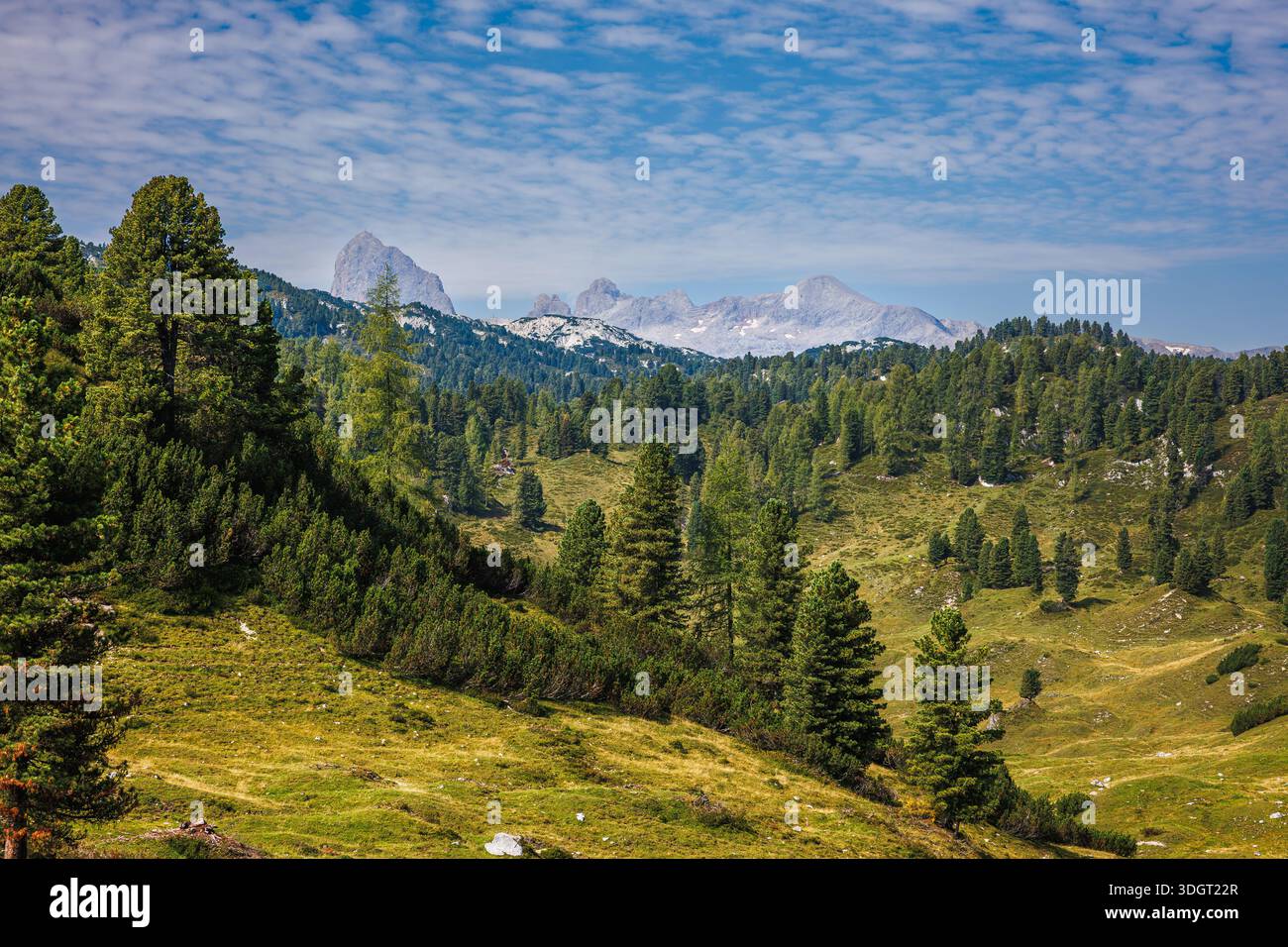 Paesaggio con pascolo e maestose montagne di Dachstein sullo sfondo. Destinazione estiva per escursioni nelle Alpi europee in Stiria, Austria Foto Stock