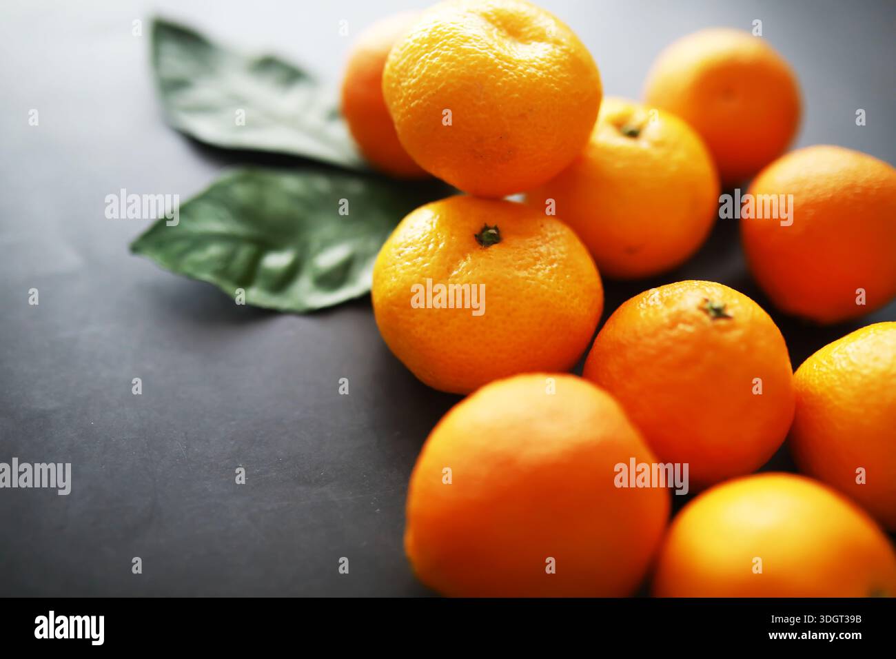 Agrumi su sfondo grigio. Tangerini con foglie. Frutta di Natale. Foto Stock