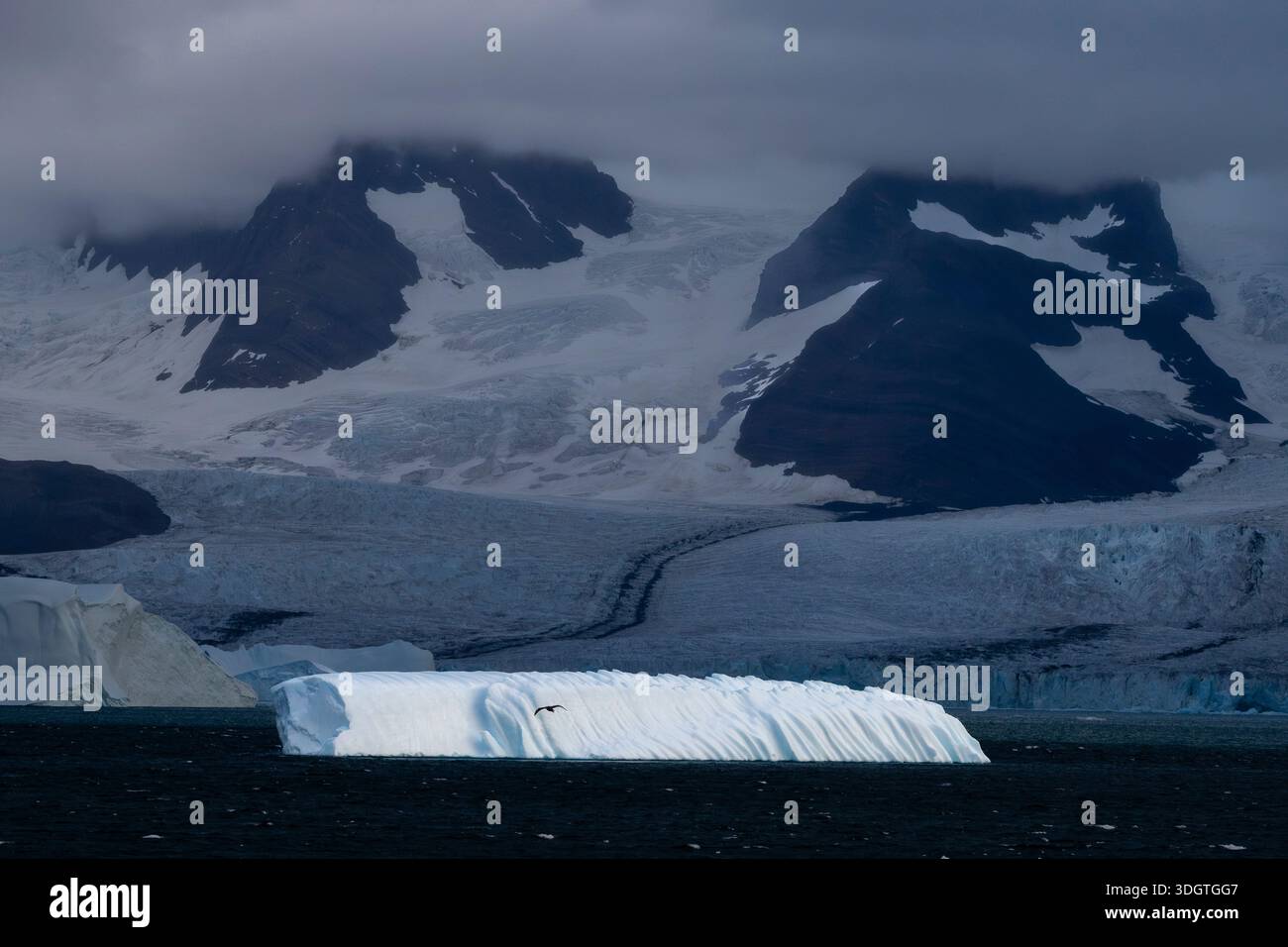 Iceberg, King Edward Cove, Cumberland East Bay, Georgia del Sud. Foto Stock