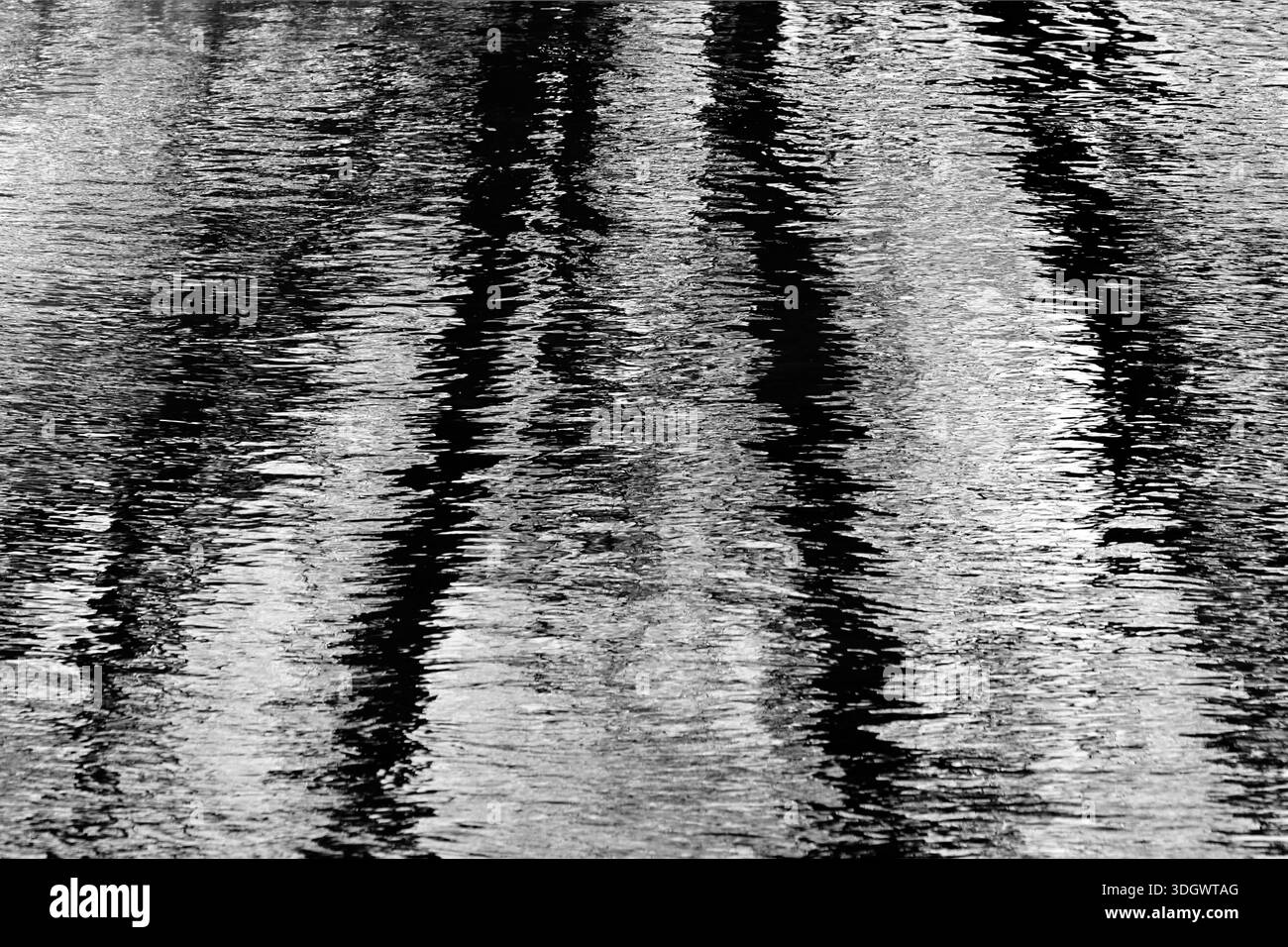 Riflessi astratti di acqua bianca e nera degli alberi che creano un paesaggio fluviale mostruoso Foto Stock