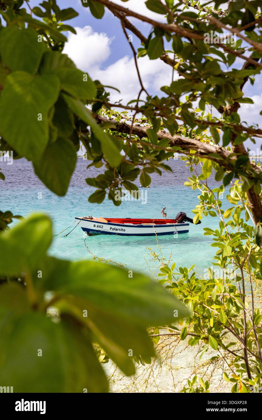 Piccolo peschereccio in legno nelle acque incontaminate di Bonaire - vicino a Kralendijk, capitale e porto principale di Bonaire nei Paesi Bassi caraibici Foto Stock