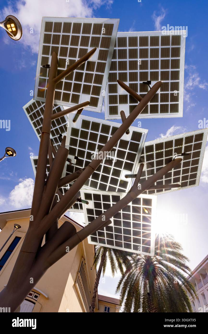 Albero di array solare a Oranjestad, capitale di Aruba, un'isola caraibica all'interno del Regno dei Paesi Bassi Foto Stock
