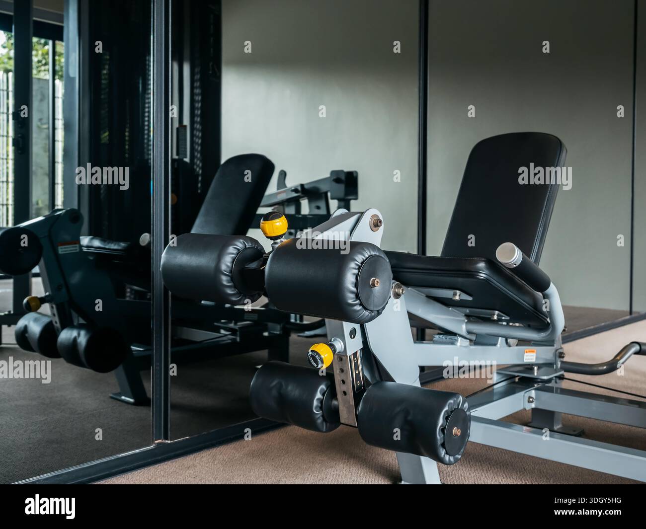 Macchina per allungare le gambe e arricciare le gambe, per l'allenamento della forza delle gambe in palestra a casa, regolabile