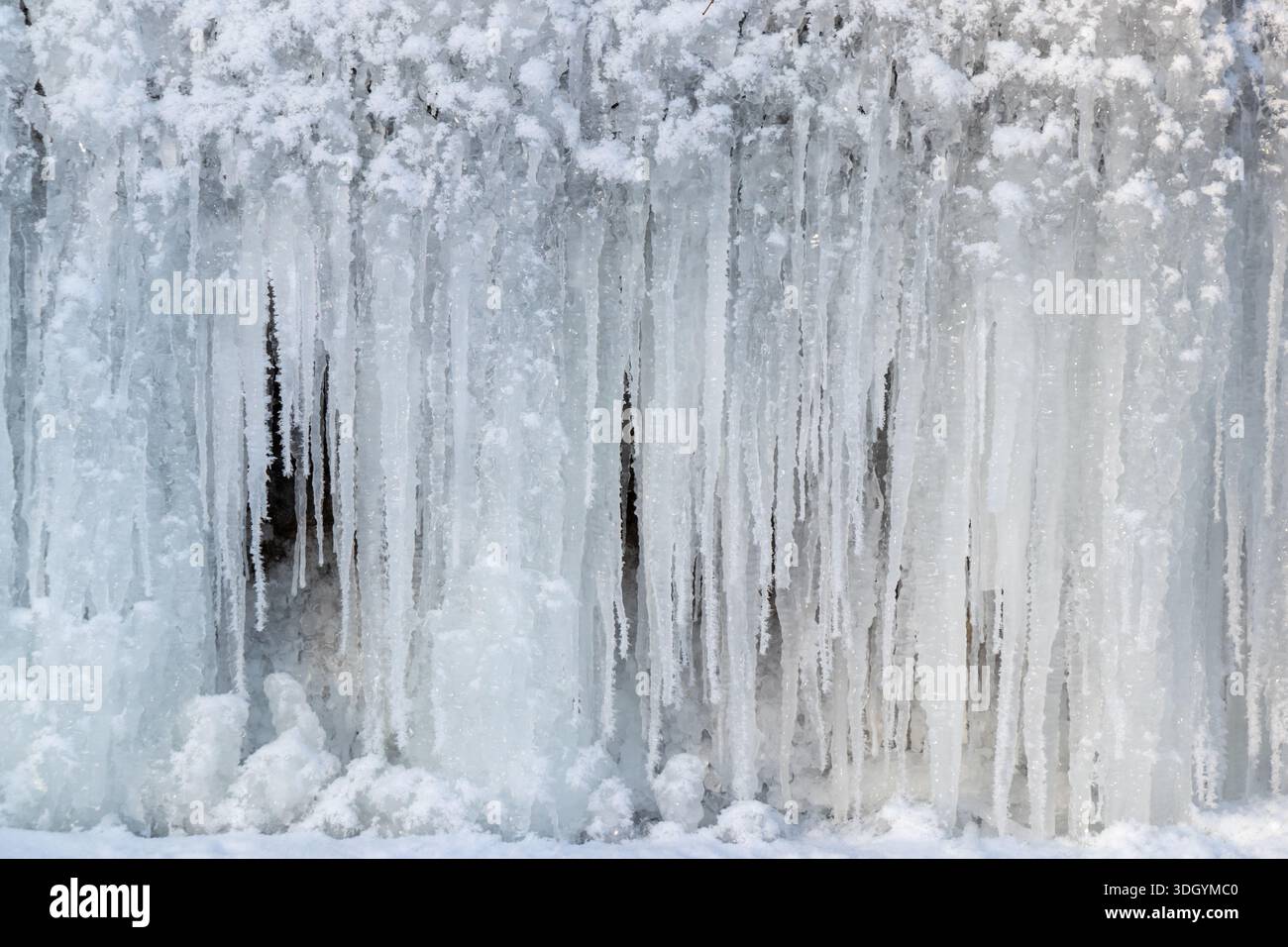 Parete ghiacciata invernale con ghiaccioli lunghi Foto Stock