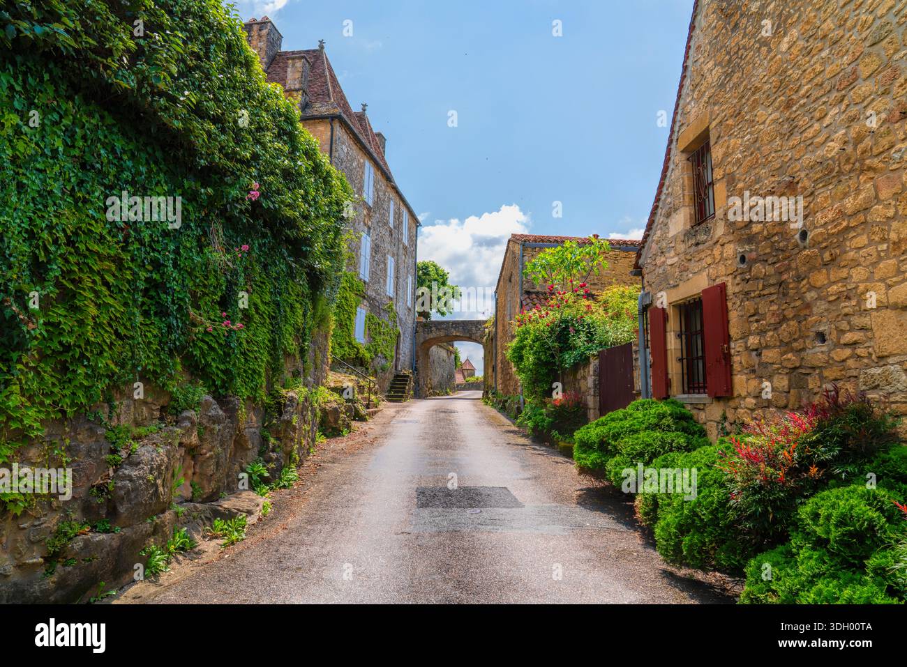 Strada all'interno dello storico Domme Village, regione Dordogna, Nouvelle-Aquitaine, Francia Foto Stock