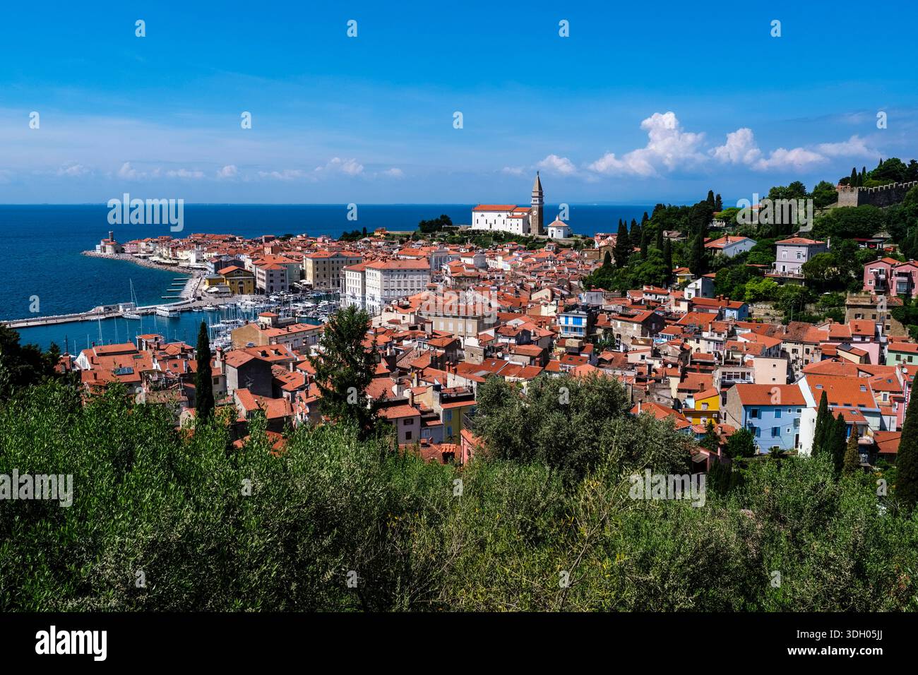 Vista ad alto angolo sul verde verso la città vecchia con il porto e la chiesa parrocchiale di San Giorgio in lontananza. Foto Stock