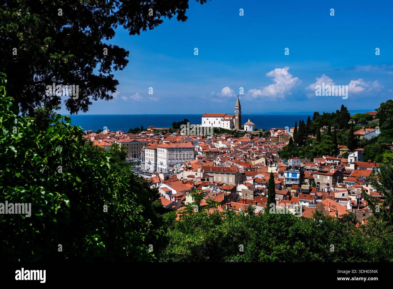 Vista sulla città costiera incorniciata da alberi, con edifici storici e la chiesa parrocchiale di San Giorgio in lontananza. Foto Stock