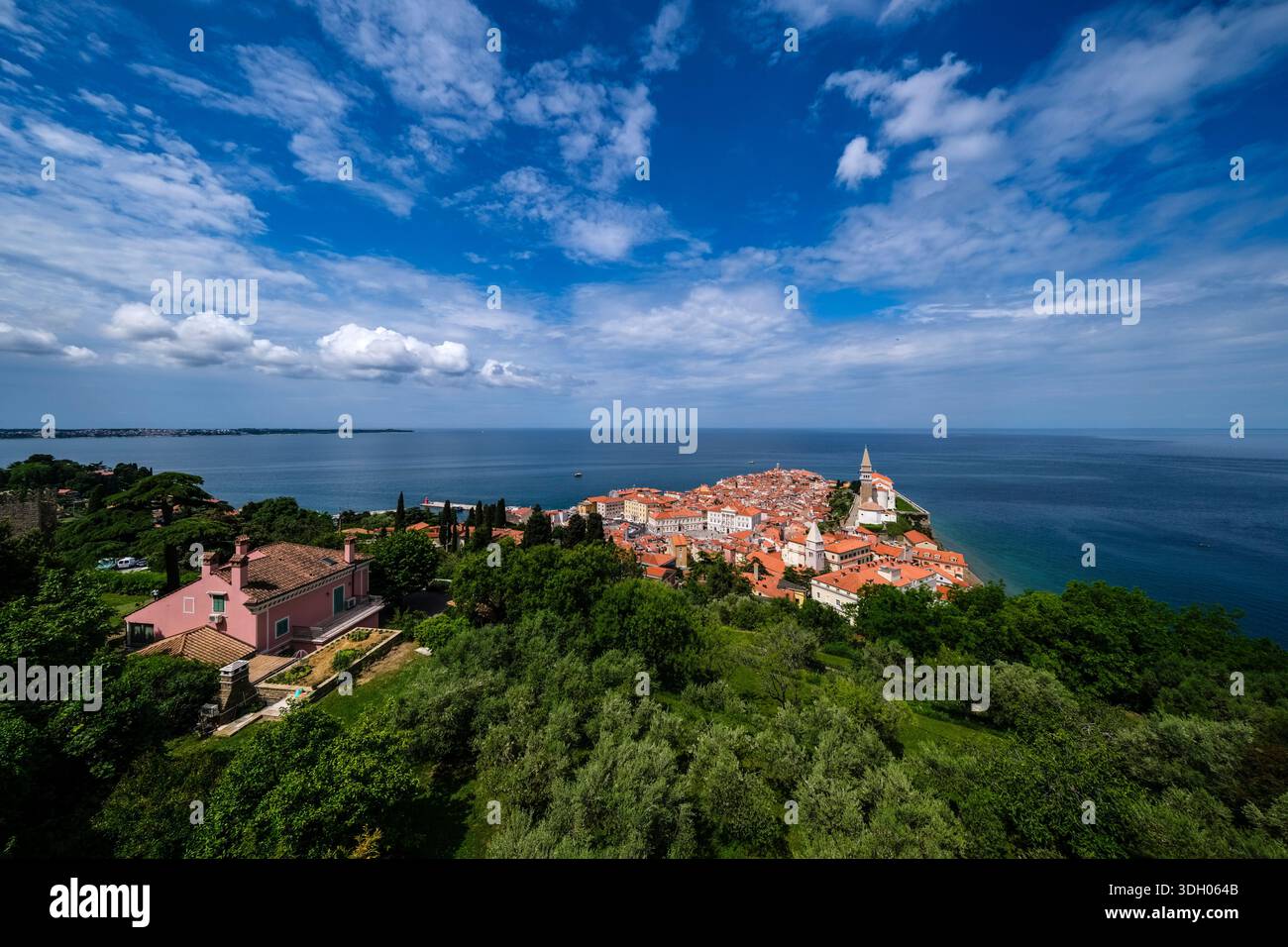 Vista panoramica in cima alla collina attraverso giardini verdi e alberi di ulivo verso la città storica e il mare Adriatico. Foto Stock