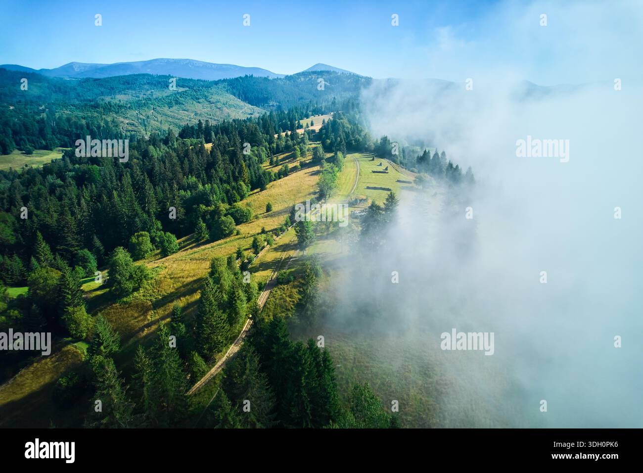 Splendida vista aerea del paesaggio montano ricoperto da vegetazione lussureggiante e alberi torreggianti. La nebbia oscura parzialmente la scena e aggiunge una qualità eterea e onirica. Foto Stock