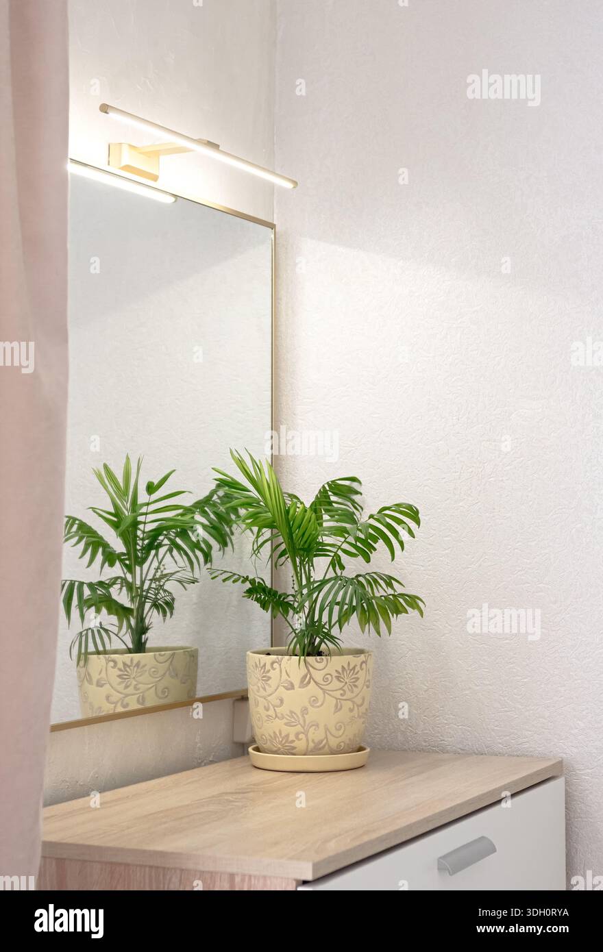 Palma Chamaedorea in vaso decorativo vicino allo specchio su comò in legno in un angolo accogliente con applique e tenda rosa, interni moderni con luce soffusa Foto Stock