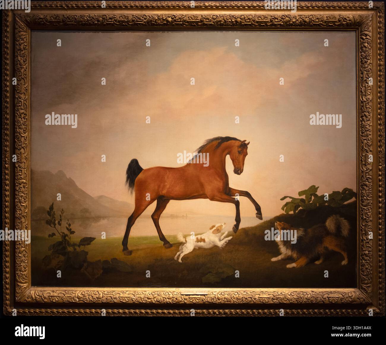 Prancing Horse di George Stubbs - Pittura artistica originale Foto Stock